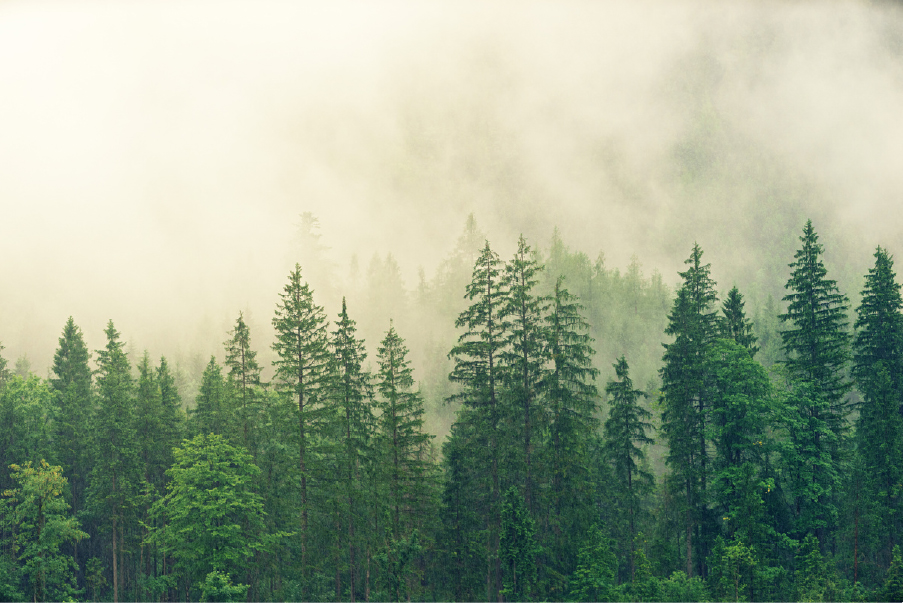 Environmental